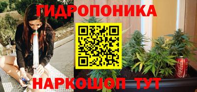 стаф Заволжье