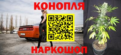 ECSTASY Заводоуковск